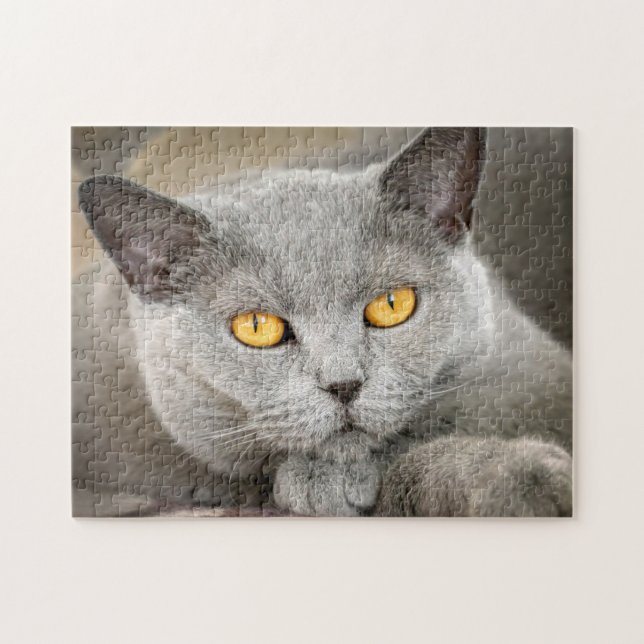 Grey Domestic Short hair Cat Jigsaw Puzzle (Horizontal)