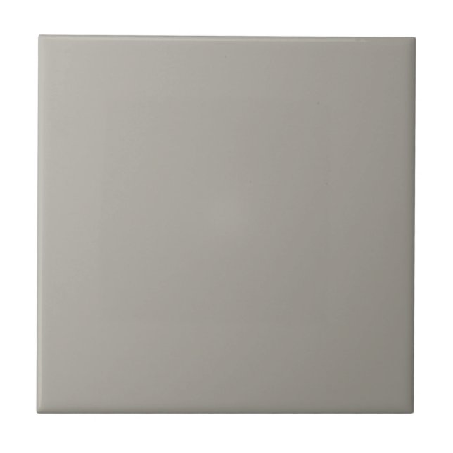 Grey Dorian Square Kitchen and Bathroom Tile (Front)
