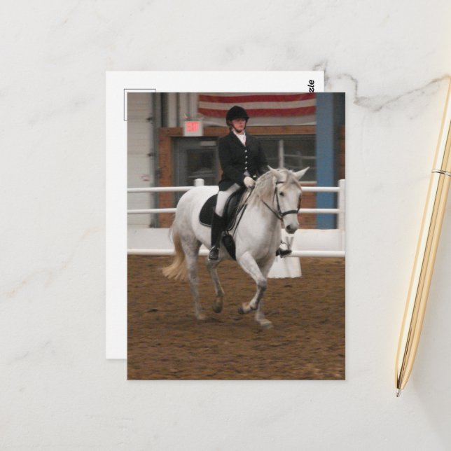 Grey Dressage Horse Postcard (Front/Back In Situ)