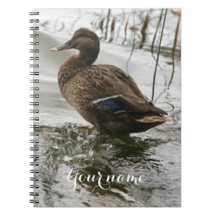 Grey duck on dark the lake notebook