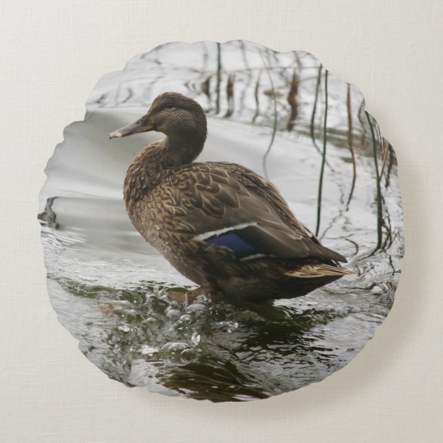 Grey duck on dark the lake round pillow (Front)