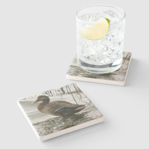 Grey duck on dark the lake stone coaster