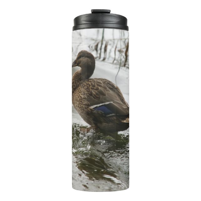 Grey duck on dark the lake thermal tumbler (Front)