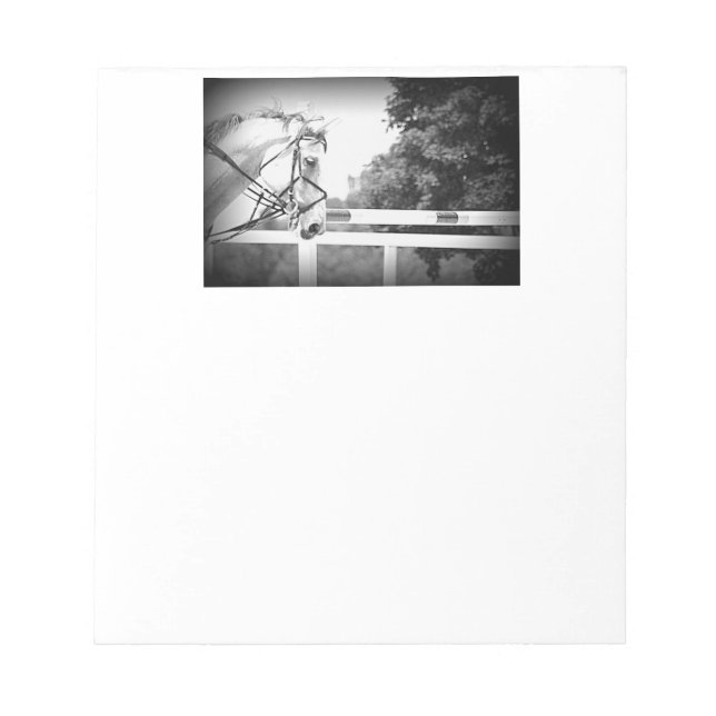 Grey English Horse Note Pad (Front)