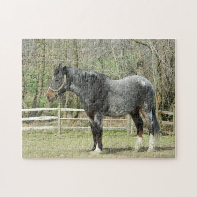 Grey Farm Horse Puzzle (Horizontal)