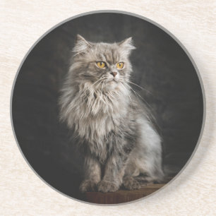 Grey Fluffy Cat  Coaster