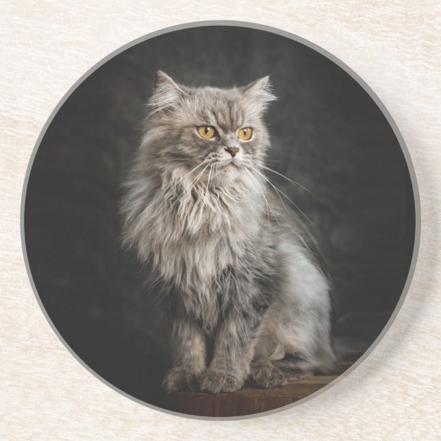 Grey Fluffy Cat  Coaster (Front)