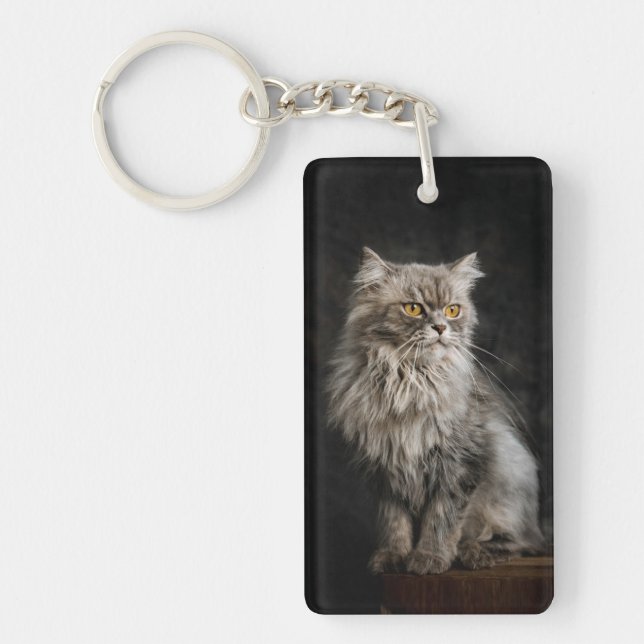 Grey Fluffy Cat  Keychain (Front)