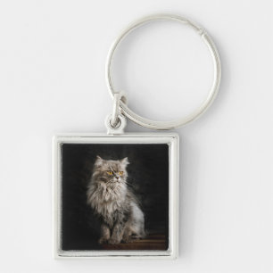 Grey Fluffy Cat  Keychain