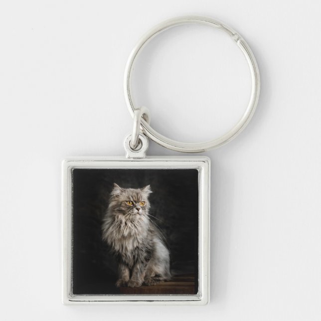 Grey Fluffy Cat  Keychain (Front)