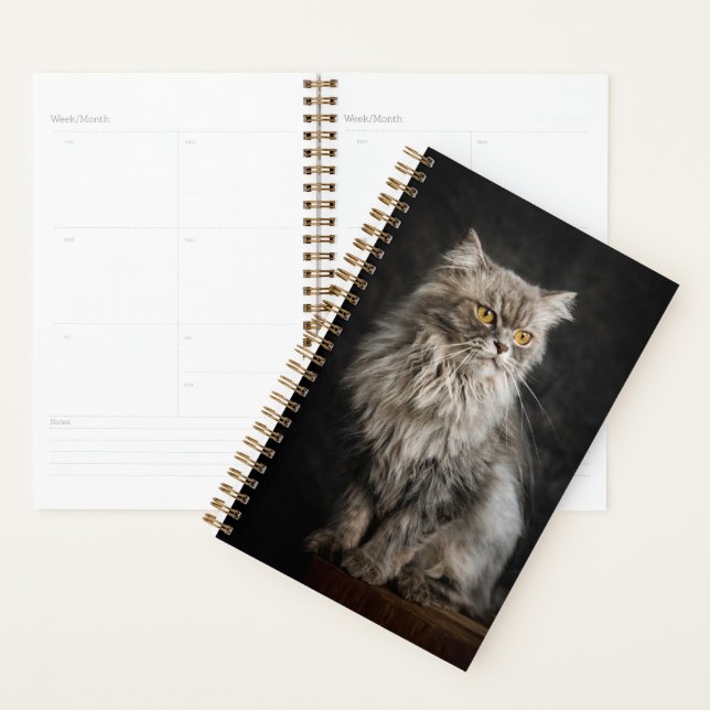 Grey Fluffy Cat  Planner (Display)