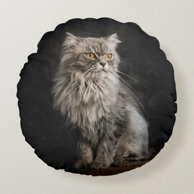 Grey Fluffy Cat  Round Pillow (Front)