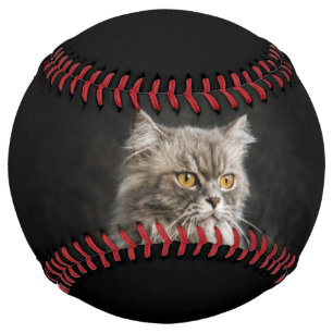 Grey Fluffy Cat Softball