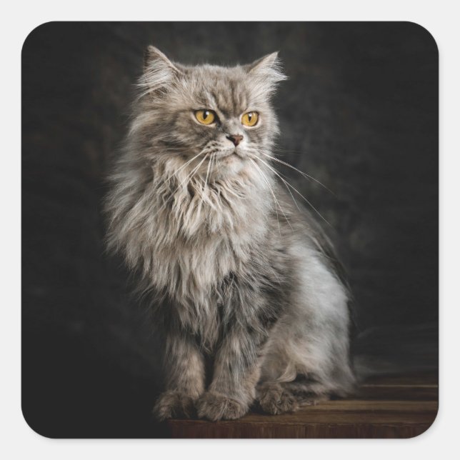 Grey Fluffy Cat  Square Sticker (Front)