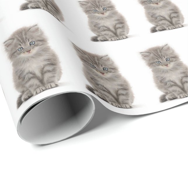 Grey Fluffy Kitten On White Wrapping Paper (Roll Corner)
