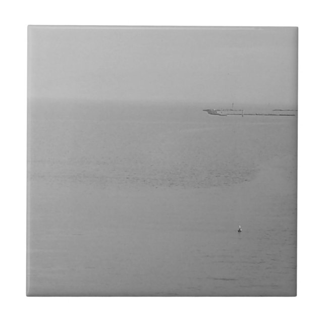 Grey Foggy Water with Seagull Tile (Front)