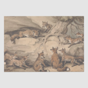 Grey Fox (Canis Virginianus) Tissue Paper
