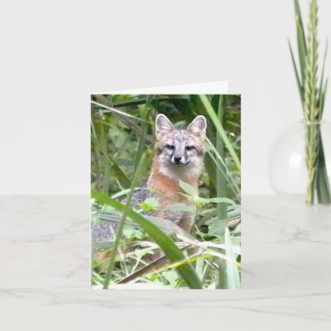 Grey Fox Greeting card (Front)