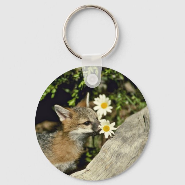 Grey Fox-young kit sniffing/eating flower Keychain (Front)