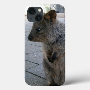 Grey Furry Australian Quokka, iPhone 13 Case