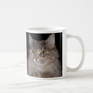 Grey Furry Cat on Coffee Cup