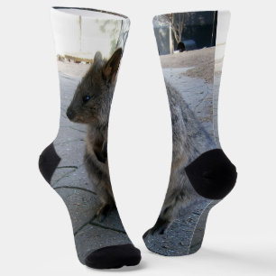 Grey Furry Friendly Australian Quokka, Crew Socks