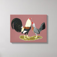 Grey Game Fowl Pair