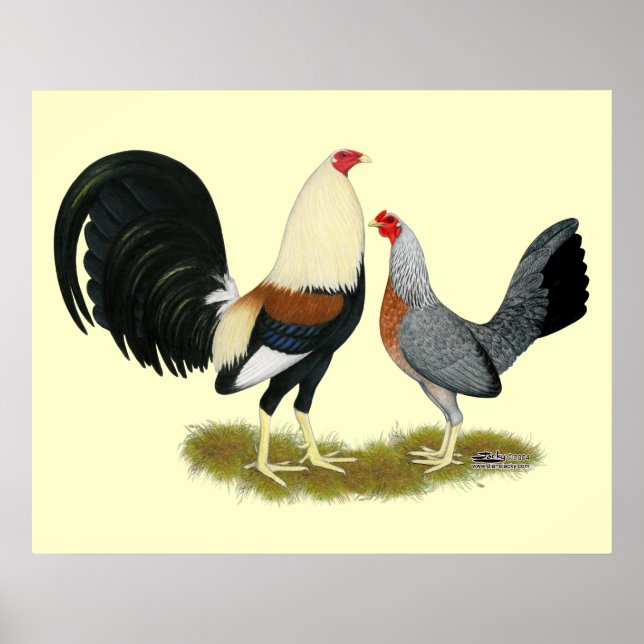 Grey Game Fowl Pair Poster (Front)