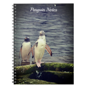 Grey Gentoo Penguin Edinburgh Zoo Scotland Notebook