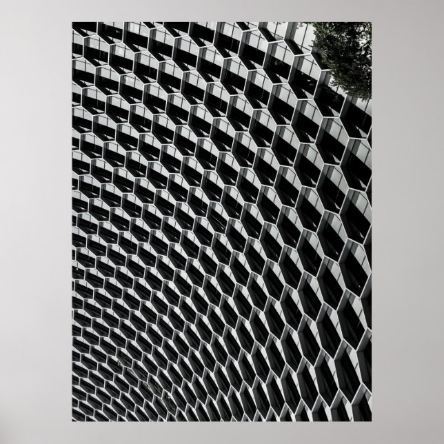 Grey glass roof poster (Front)