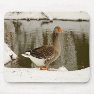 Grey goose mouse pad
