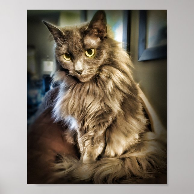 Grey Green Eyed Print, Value Poster Paper (Matte) (Front)