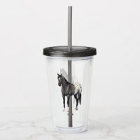 Grey Grulla Appaloosa Quarter Horse Stallion