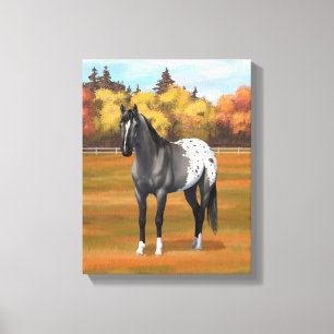 Grey Grulla Appaloosa Quarter Horse Stallion Canvas Print