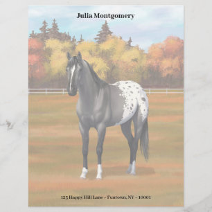 Grey Grulla Appaloosa Quarter Horse Stallion Letterhead