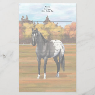 Grey Grulla Appaloosa Quarter Horse Stallion Stationery