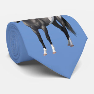 Grey Grulla Appaloosa Quarter Horse Stallion Tie