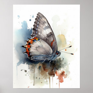 Grey Hairstreak Butterfly Art Print Poster