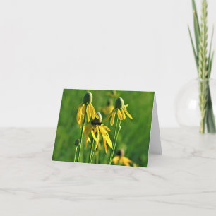 Grey-headed Coneflower Note Card