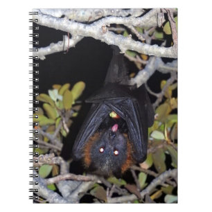 Grey-Headed Flying Fox Notebook