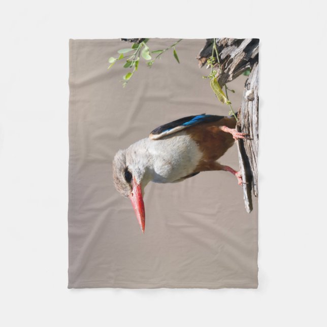 Grey-Headed Kingfisher Fleece Blanket (Front)