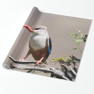 Grey-Headed Kingfisher Wrapping Paper