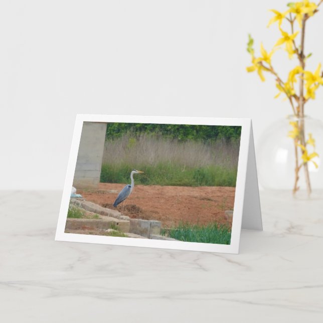 Grey Heron Bird Card (Yellow Flower)