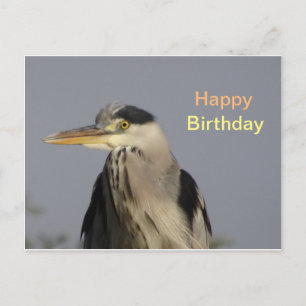 Grey Heron Bonne Carte Postale Anniversaire