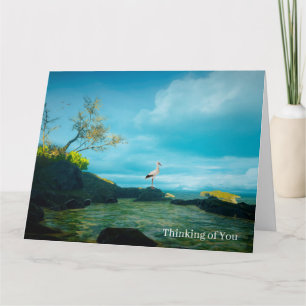 Grey Heron image for Get Well card