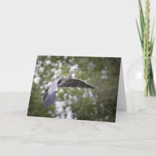 Grey Heron Nature Photo Card