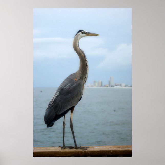 grey heron on the pier poster (Front)