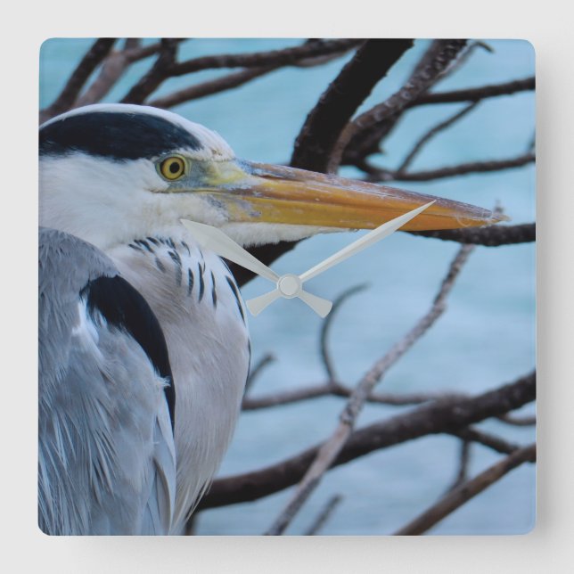 Grey Heron Square Wall Clock (Front)