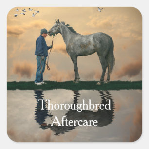 Grey Horse And Groom OTTB Stickers