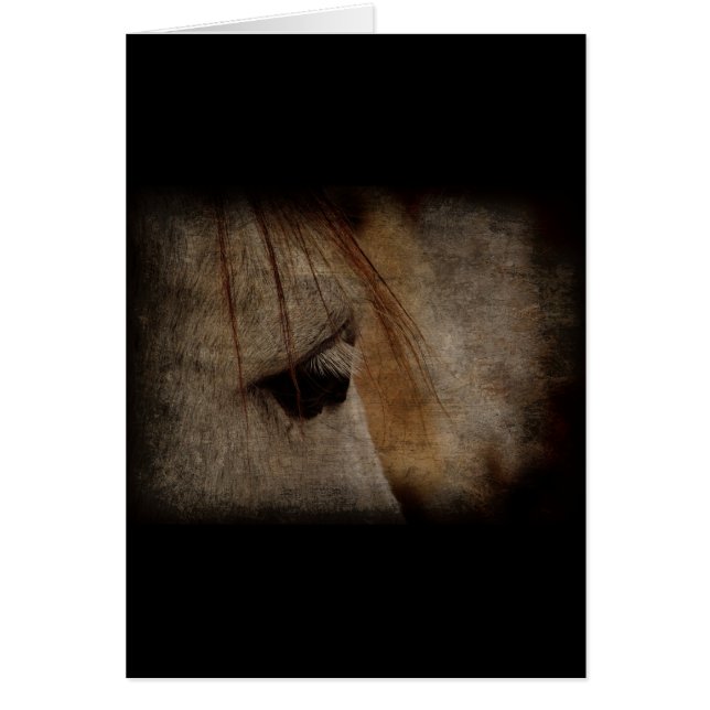 Grey Horse Face Grunge (Front)